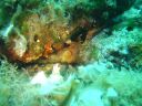 DSC00323.JPG