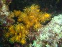 DSC00326.JPG