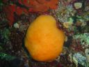 DSC00329.JPG