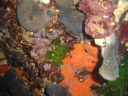 DSC00330.JPG