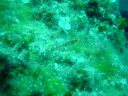 DSC00333.JPG