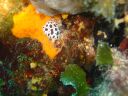 DSC00340.JPG