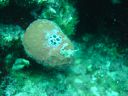DSC00342.JPG