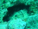 DSC00343.JPG