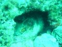 DSC00345.JPG