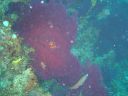 DSC00346.JPG