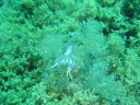 DSC00350.JPG
