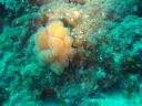 DSC00353.JPG