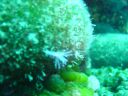 DSC00360.JPG