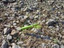 DSC00362.JPG