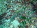 DSC00364.JPG