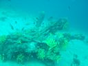 DSC00365.JPG