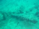 DSC00368.JPG