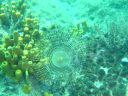 DSC00372.JPG