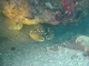 DSC00378.JPG