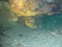 DSC00379.JPG