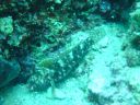 DSC00384.JPG