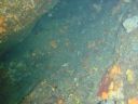 DSC00385.JPG