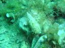 DSC00387.JPG