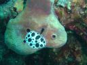 DSC00394.JPG