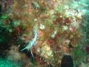 DSC00398.JPG