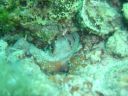 DSC00400.JPG