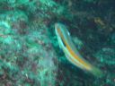 DSC00410.JPG