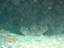 DSC00412.JPG