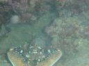 DSC00414.JPG
