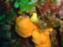 DSC00416.JPG