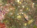 DSC00419.JPG