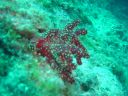 DSC00420.JPG