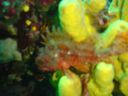 DSC00421.JPG