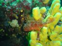 DSC00422.JPG