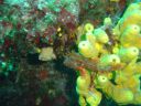 DSC00423.JPG