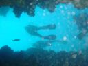 DSC00425.JPG