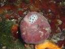 DSC00427.JPG
