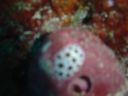 DSC00428.JPG