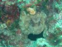 DSC00430.JPG