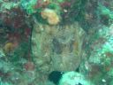 DSC00431.JPG