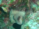 DSC00432.JPG