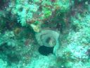 DSC00433.JPG