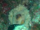 DSC00434.JPG
