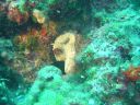 DSC00435.JPG
