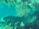 DSC00436.JPG