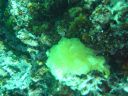 DSC00437.JPG