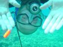 DSC00438.JPG