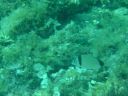 DSC00439.JPG