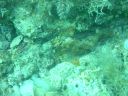 DSC00440.JPG