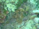 DSC00441.JPG